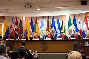 Inédita sentencia: Corte Interamericana de DD.HH. falla contra el Estado de Chile por isapre que negó hospitalización domiciliaria a menor