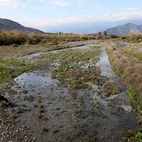“Damos por terminadas las conversaciones”: agricultores del Aconcagua no logran acuerdo para asegurar abastecimiento de agua en el Gran Valparaíso