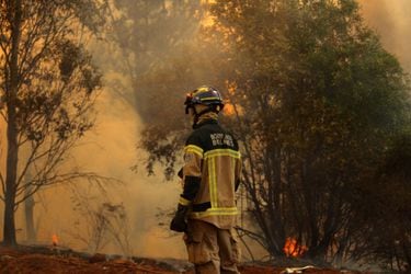 Declaran alerta roja por incendio  forestal en cercanía de sectores poblados en comuna de Molina