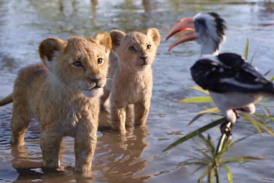 The-Lion-King