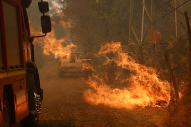 Aumentan a 13 los fallecidos por incendios forestales en Ñuble, Biobío y La Araucanía