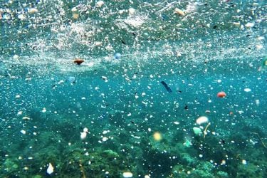 2 imagen plásticos y microplásticos en el agua
