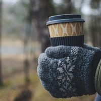 No más dedos congelados: cómo elegir los mejores guantes para el frío