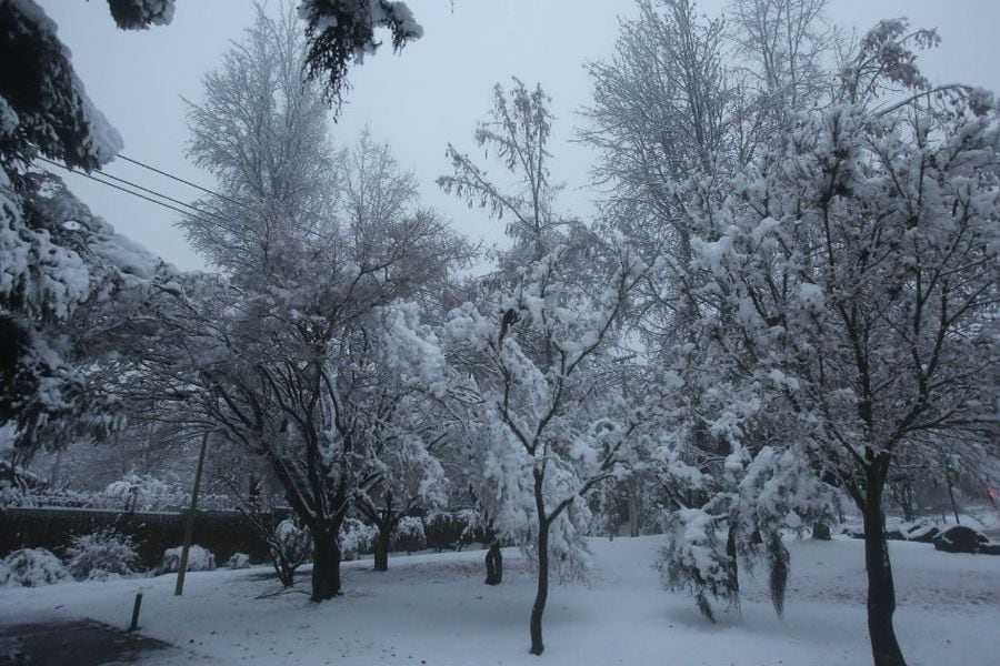 EEUU cae nieve en Florida por primera vez en tres décadas La Tercera