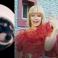 “Pedro, Pedro, Pedro”: la canción de Raffaella Carrà viral en redes sociales (por causa de un mapache)