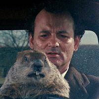 El día de la marmota: curiosidades sobre la película de Bill Murray