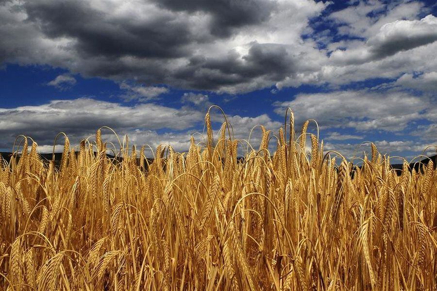 cambio climático 2