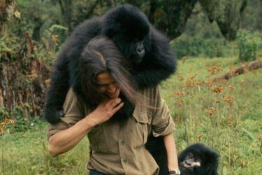 Dian-Fossey-muerte-en-la-niebla-National-Geographic-2-1-820x500