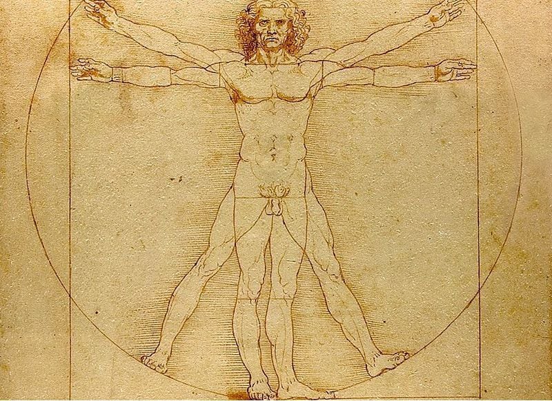 Hombre de Vitruvio (1490)