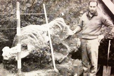 Por primera vez y después de más de 50 años, exhibirán el fascinante fósil de un megaterio encontrado en Conchalí