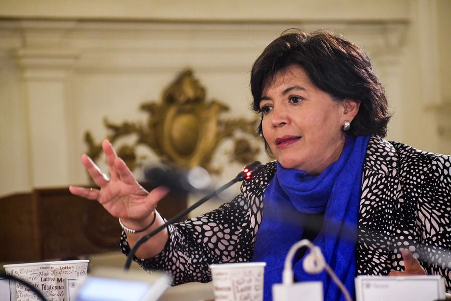 La senadora Yasna Provoste en la sede del Congreso en Santiago.