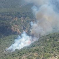 Senapred declara alerta roja en Machalí por incendio forestal en la Reserva Nacional Río Cipreses