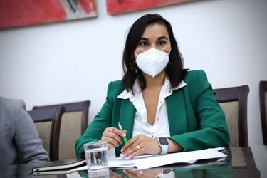 UDI critica declaración de Siches sobre ataques a civiles en La Araucanía: “¿En qué país vive la ministra?”