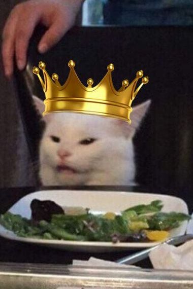 meme-gato-rey