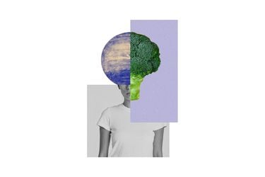“Alimentación planetaria” ante la crisis climática