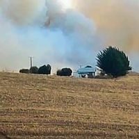 Declaran alerta roja en Nueva Imperial y Molina por incendios forestales que amenazan a zonas pobladas