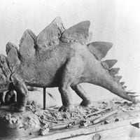 Un “lagarto terrible”: El término dinosaurio cumple 180 años