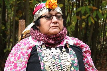 Elisa Avendaño, Premio Nacional de Música: “La música mapuche está ahí, solo hay que tomarla, levantarla y recrearla”