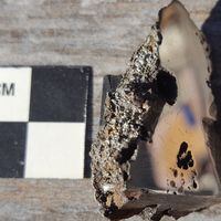 Científicos descubren algo nunca visto en uno de los meteoritos más grandes caídos en la Tierra 