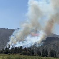 Declaran alerta roja por incendio forestal cercano a sectores poblados en Portezuelo