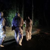 Investigan descuartizamiento tras hallazgo de restos humanos en sector rural de Valparaíso
