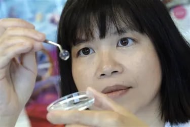 May Griffith, la científica que crea córneas artificiales para terminar con la escasez de donaciones