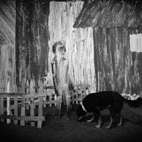 PJ Harvey según dos cineastas chilenos: así se hizo el nuevo videoclip de la artista en el país