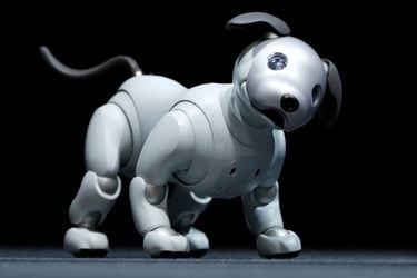 Sony Corp's entertainment robot "aibo" is pictured at a news conference in Tokyo