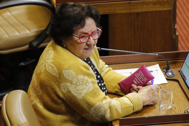 La diputada María Luisa Cordero en una sesión de la Cámara Baja.