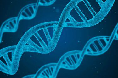 Ley permitió análisis de ADN para probar paternidad