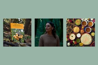 Esta semana recomendamos un libro sobre hongos, una película chilena y un delivery de comida mexicana