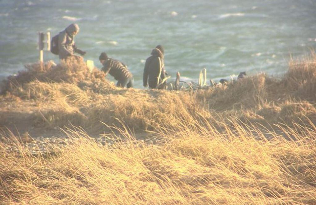 Un grupo de personas se mete sin permiso en busca de los pingüinos.
