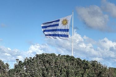 Quiere sumarse a Chile y Perú: Uruguay inicia negociaciones con China para un acuerdo de libre comercio