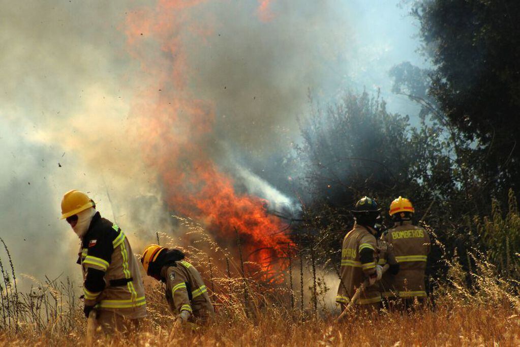 Incendios forestales. Foto referencial.