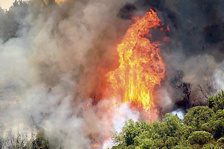 incendio pumanque