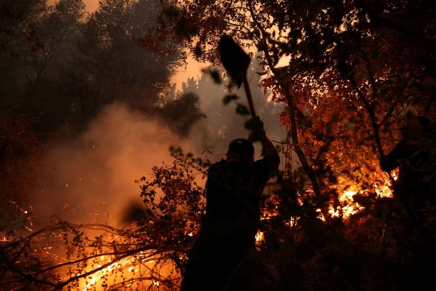 Incendio en Nacimiento, Región del Biobío.