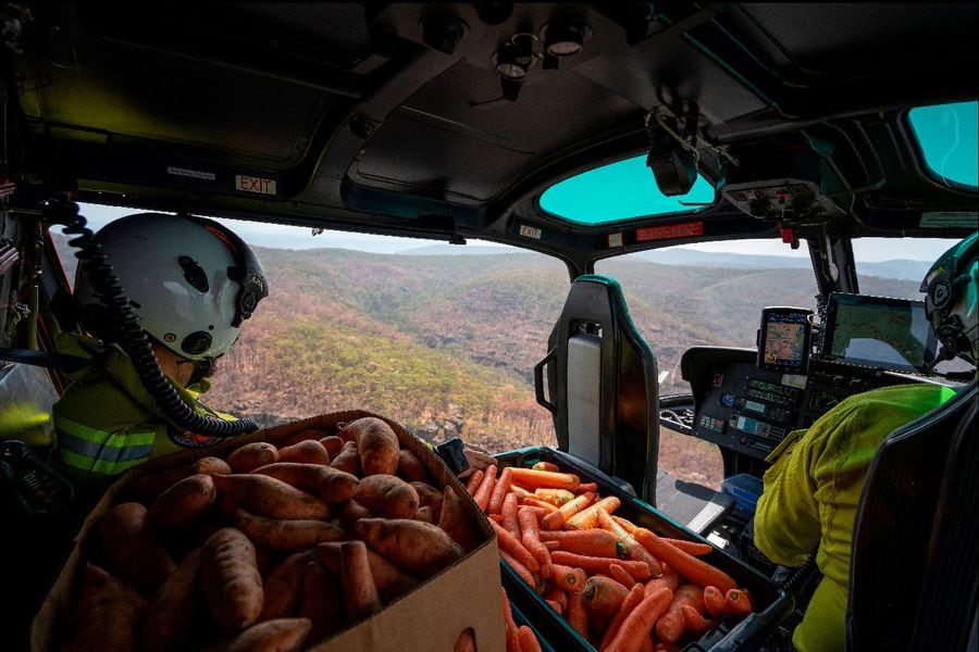 Australia lanza alimento a animales afectados por incendios forestales (Reuters)