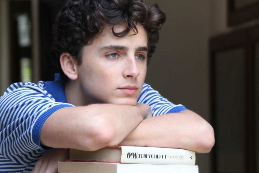 timothee-chalamet-call-me-by-your-name.w600.h315.2x