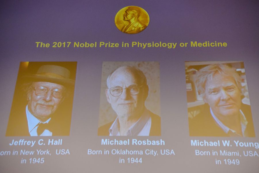 Winners of the 2017 Nobel Prize in Physiology or Medicine (L-R) US tr