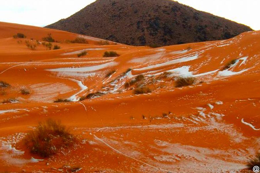 sahara nevado