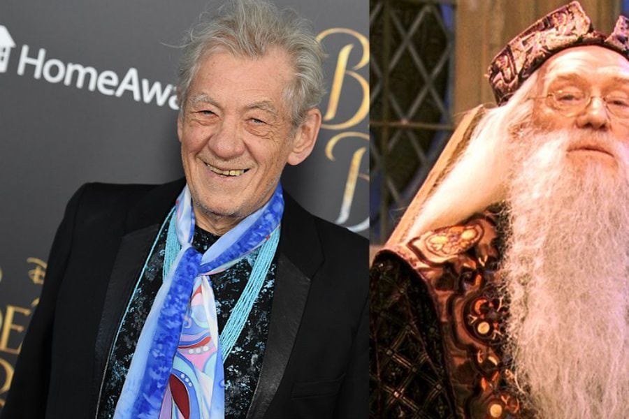 Ian Mckellen Cuenta Por Que Rechazo Ser Dumbledore En La Saga De Harry Potter La Tercera