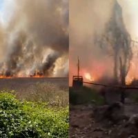 Impactante incendio forestal es registrado en la comuna de Peñaflor