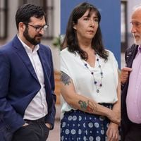 Democracia Viva: exsubsecretaria Tatiana Rojas refuta versión  de Miguel Crispi en Fiscalía e insiste en que entregó una serie de documentos al ministro Montes