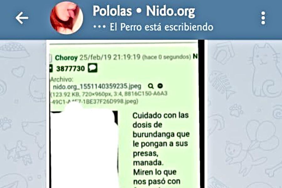 El sitio es frecuentado por acosadores. Foto: imagen de internet