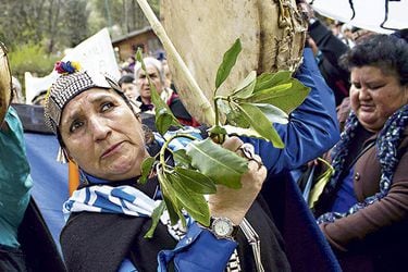 marcha comunidad mapuche