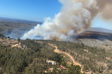 Alerta roja en Algarrobo por incendio forestal con peligro de propagación a viviendas