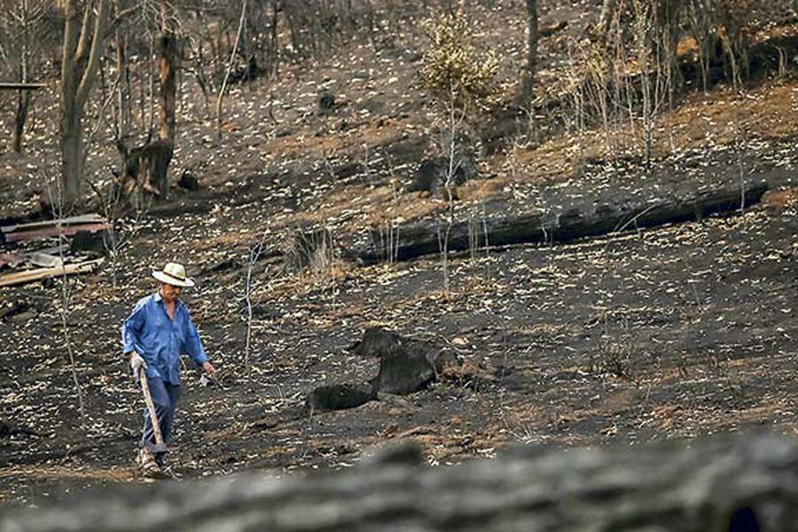 incendios