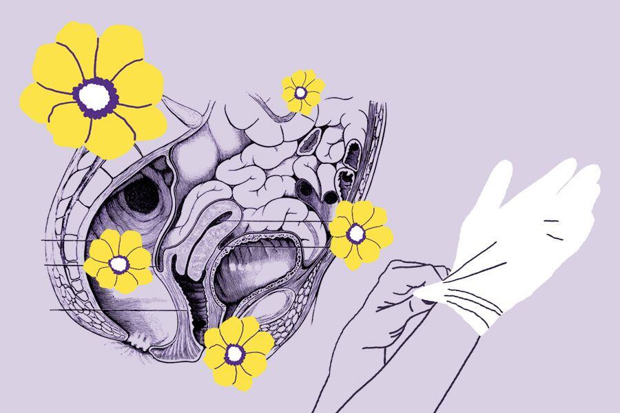 ginecologia feminista
