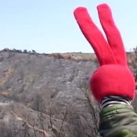 El video de 31 Minutos que anticipó el incendio en el Jardín Botánico