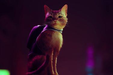 Stray, el éxito de un videojuego protagonizado por un gato